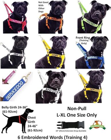 Limited Caution (Do Not Approach) Red Color Coded Non-Pull Front and Back D Ring Padded and Waterproof Vest Dog Harness Prevents Accidents by Warning Others of Your Dog in Advance (L) in Saudi Arabia