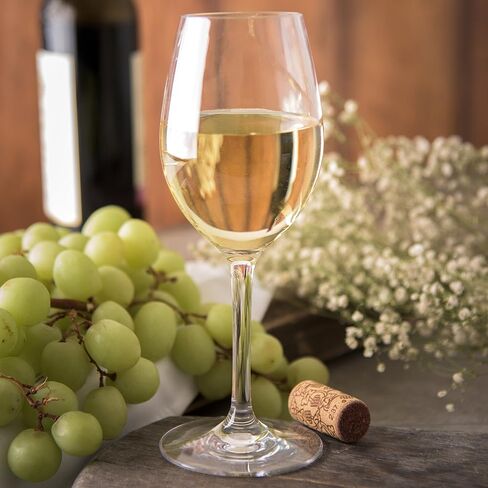منتجات Carlisle FoodService Products Alibi Wine Glass للمطاعم والمطاعم والمطابخ والبلاستيك، 8 أونصة، شفاف، (عبوة من 24 قطعة) in Saudi Arabia