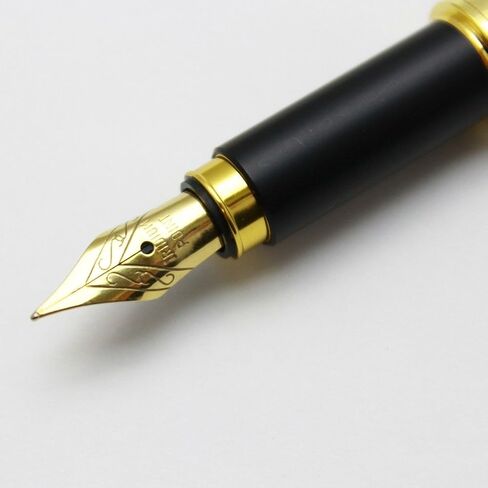 OHTO Dude Fountain Pen, Violet (FF-15DD-Violet) in Saudi Arabia