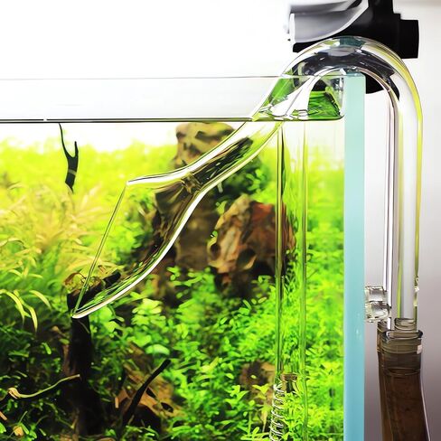 Glass Lily Pipe Inflow & Violet Outflow - Aquarium Planted Tank Aquascaping (13mm for 12/16mm (1/2'' ID) tubing) in Saudi Arabia