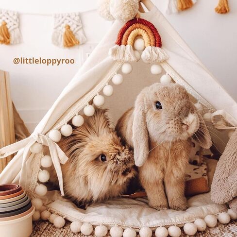 Rabbit Hideaway - Cozy Small Dog Bed - Stylish Cat Teepee - Cute Tent for Bunny, Puppy, Guinea Pig and Small Animals - Made with 100% Cotton, Hypoallergenic - Pet Accessories for Indoor in Saudi Arabia