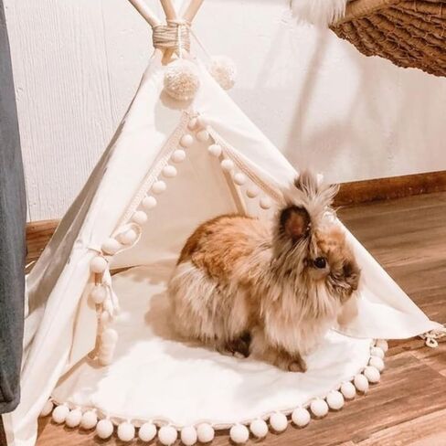 Rabbit Hideaway - Cozy Small Dog Bed - Stylish Cat Teepee - Cute Tent for Bunny, Puppy, Guinea Pig and Small Animals - Made with 100% Cotton, Hypoallergenic - Pet Accessories for Indoor in Saudi Arabia