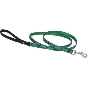 LupinePet Originals 1/2" Tail Feathers 4-foot Padded Handle Leash for Small Pets