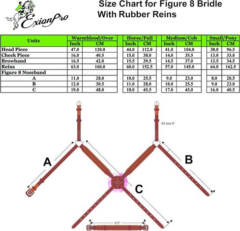 Exion Figure 8 Bridle with Leather Laced Rein | English Jumping Fancy Stitched Figure 8 Bridle for Horses in Saudi Arabia