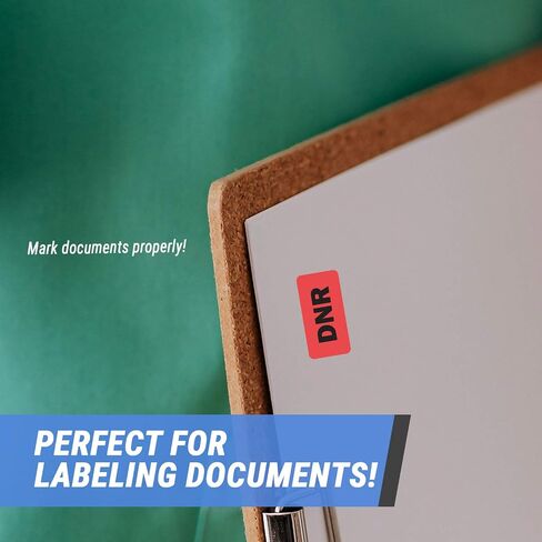 300 DNR Label Stickers, 1 x 2 Inch Do Not Resuscitate Sticker Chart Medication DNR Prescription Labels Veterinary Medical Pharmacy File Folder Medical Rx Vet Tech - 1 Pack of 300 Labels in Saudi Arabia