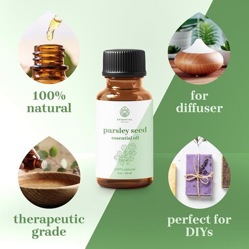 زيت بذور البقدونس العطري - زيت أساسي غير مخفف بدرجة ممتازة 100% (1 أونصة) | للعلاج بالروائح والصابون والمستحضرات والشموع | نباتي ولم يتم الإساءة إلى الحيوانات لتصنيعه in Kuwait