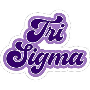 Sigma Sigma Sigma Retro Sorority Car Magnet Set of 2 Removable No Residue All Weather Magnets for Sorority Girls and Student Drivers