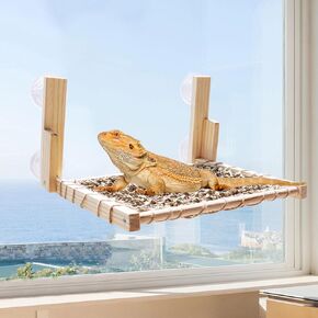 Bearded Dragon Hammock, Lizard Window Perch, Wooden Reptile Bed with Seagrass Mat, Reptile Tank Accessories, Suitable for Lizard Bearded Dragon Chameleon Kitten Guinea Pig Rat 12 × 11 Inch
