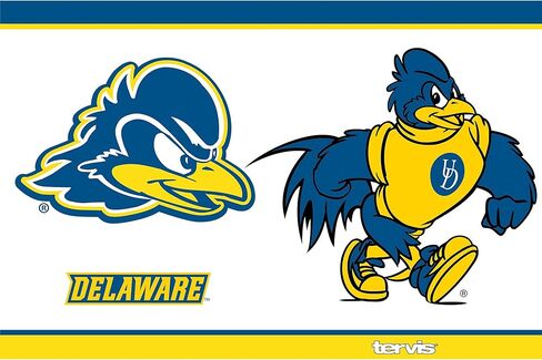 كوب Tervis ذو الجدران الثلاثية لجامعة ديلاوير باللون الأزرق المعزول يحافظ على المشروبات باردة وساخنة، 30oz - الفولاذ المقاوم للصدأ، التقليد in Kuwait
