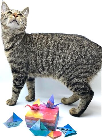 Origami Kit, 400 Sheets Double-Sided Galaxy Pattern Origami Paper with 100 Sheets of Each Galaxy pattern, DIY Crafts for Kids, School Projects, Decoration (3.75"x3.75"), and note writting in Saudi Arabia