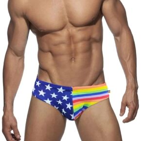 Men's Low Rise Swim Briefs, Classic USA/Rainbow Flag