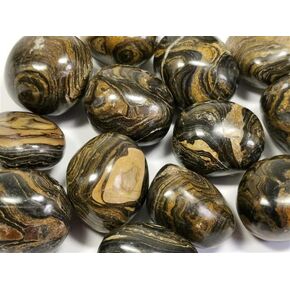 Pachamama Essentials Stromatolite Tumbled - Healing Stone - Crystal Healing 20-25mm (5)
