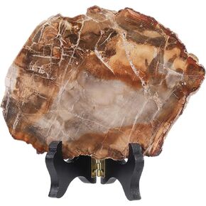 Rockcloud Natural Petrified Wood Slab with Wooden Stand, Reiki Raw Stone Display for Home Office Desktop Decoration