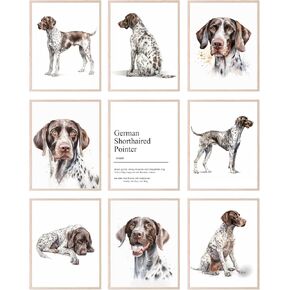 BigWig Prints German Shorthaired Pointer Dog Wall Art - German Shorthaired Pointer Gifts, German Shorthaired Pointer Dog Wall Decor, GSP Dog Art, Pointer Dog Gifts, Dog Poster - Unframed 9 Pack (8x10)