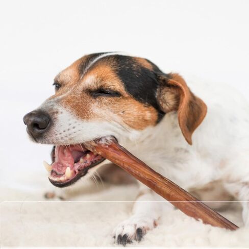 Ipetboom 9pcs روضة الحيوانات الأليفة قفص الحيوانات الصغيرة بطانة الحرس غينيا خنزير الجانب حاجز مانع واضح حراس البول الحرس الجانب بطانة شينشيلا قفص الملحقات in Kuwait