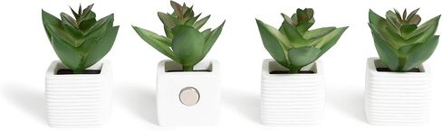 U Brands Succulent Magnets, 12 Count in Saudi Arabia