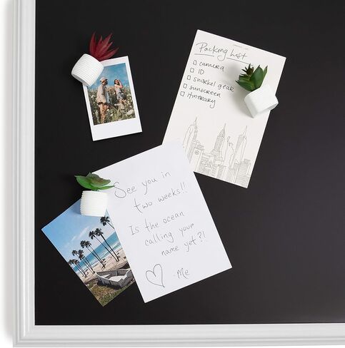 U Brands Succulent Magnets, 12 Count in Saudi Arabia