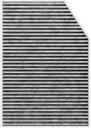 Spearhead Odor Defense Breathe Easy AC & Heater Cabin Filter | Fits 2/3/4 Series, i4, M2, M3, M4 X3, X4, Z4, GR Supra Like OEM | Up to 25% Longer Lasting w/Activated Carbon (BE-553B) in Saudi Arabia