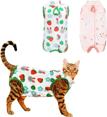 2 Pcs Cat Surgery Recovery Suit for Male and Female Cats, Cat Onesie for Cats after Neuter Surger, Anti Licking Wounds Clothes for Cats (Pure Purple+Grey, S(2-3.5lbs)) in Saudi Arabia