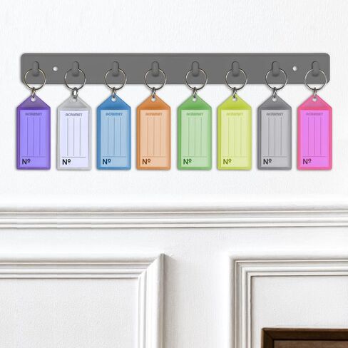 Acrimet Plastic Key Tag with Metal Ring and Label Window (Assorted Colors) (60 Pack) in Saudi Arabia