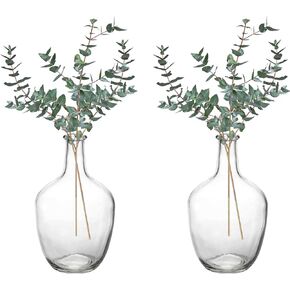 Hacaroa 2 Pack Clear Stout Glass Vase, 10 Inch Handmade Balloon Jug Vase Single Bud Neck Flower, Vintage Decorative Flower Vase for Tabletop, Centerpiece, Home, Hotel Decoration