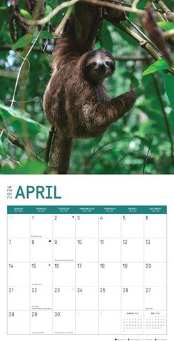 2024 Costa Rica Monthly Wall Calendar by Bright Day, 12 x 12 Inch Paradise Destination in Saudi Arabia