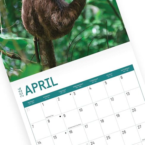 2024 Costa Rica Monthly Wall Calendar by Bright Day, 12 x 12 Inch Paradise Destination in Saudi Arabia