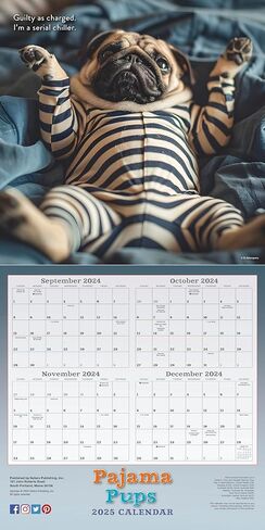 تقويم حائط الطيور المغردة في أمريكا الشمالية 2025، تقويم طبيعي لمدة 16 شهرًا، 12 بوصة × 12 بوصة in Kuwait