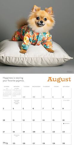 تقويم حائط الطيور المغردة في أمريكا الشمالية 2025، تقويم طبيعي لمدة 16 شهرًا، 12 بوصة × 12 بوصة in Kuwait