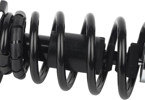 PAROD Pair 171299 Rear Suspension Shock Absorber Strut and Coil Spring Assembly fit for 1998-2002 Honda Accord in Saudi Arabia