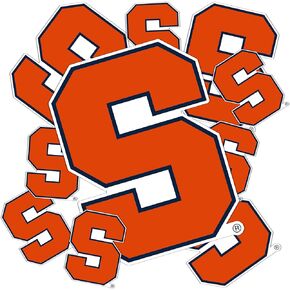 Desert Cactus Syracuse University Cuse Orange Stickers Vinyl Decals Laptop Water Bottle Car Scrapbook T3 (Type 3-1)