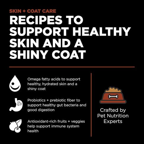 Go! Solutions Skin + Coat Care Dry Dog Food for Large Breed Adult - Salmon Recipe with Grains - Complete & Balanced Nutrition, 12 lbs in Saudi Arabia