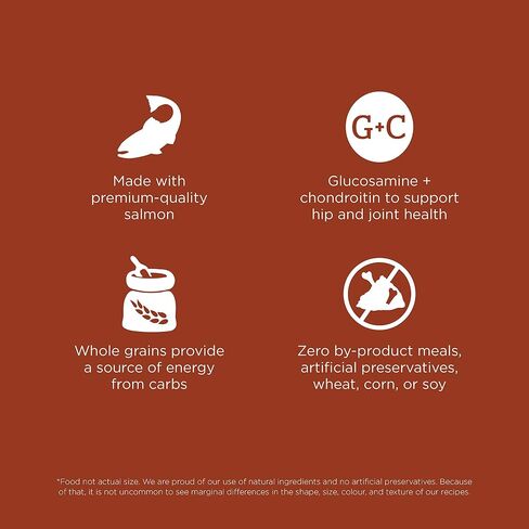 Go! Solutions Skin + Coat Care Dry Dog Food for Large Breed Adult - Salmon Recipe with Grains - Complete & Balanced Nutrition, 12 lbs in Saudi Arabia