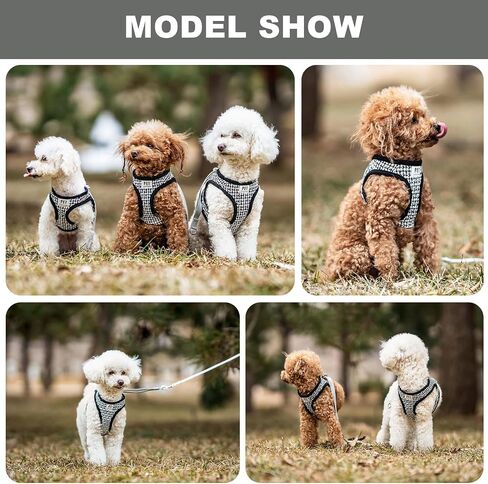 Small Dog Harness and Leash Set, No Pull No Chock Soft Mesh Breathable Adjustable Dog Vest Harnesses Plaid for Puppies Small Dogs Cats Animals in Saudi Arabia