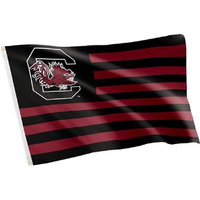 Desert Cactus University of South Carolina Flag Gamecocks USC Cocky Flag Banners 100% Polyester Indoor Outdoor 3x5 feet Flags (Nation)