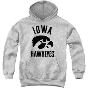 University of Iowa Official One Color Hawkeyes Logo Youth Kids Boy/Girls Pull-Over Hoodie Sweatshirt
