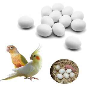 12 Pcs Solid Parrot Plastic Eggs Hatching Eggs Green Cheek, Lorikeet&Ringneck Dove, Quaker, Cockatiel. Trick The Birds to Stop Laying Eggs, Fake Eggs