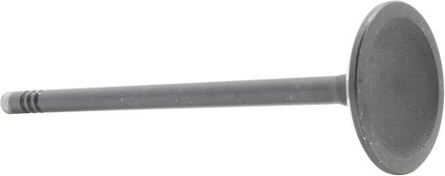 DNJ IV4185 Intake Valve for 2004-2014 / Ford, Lincoln, Mercury/Expedition, Explorer, F-150, F-250 Super Duty, F-350 Super Duty, Mark LT, Mountaineer, Mustang, Navigator / 4.6L, 5.4 in Saudi Arabia