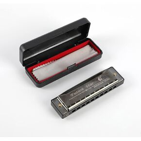10 Hole 10 Tones Harmonica with Case for Beginner Students Kids and Professionals,Mouth Organ, Students gifts, Adult, Friends, Gift(Black)