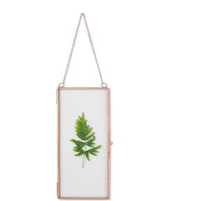 NCYP Small Double Glass Floating Frame for Photo, Picture, Pressed Dried Flowers - 4.1" x 9" - Wall Hanging Clear Artwork Display Clip, Indoor Home Decor, Black (Plants Not Include)