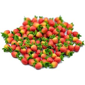 Realistic Fake Fruit Artificial Lifelike 20 Red Strawberry SS Dollhouse Miniatures Food Kitchen no.2