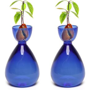 Avocado Vase Avocado Seed Starter Vase Glass Propagation Vase Plant Vase Gife for Women and Birthday 2pc