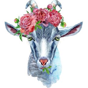 Muyankissu Goat Diamond Art Kits for Beginner,5D Paint by Diamond Kit for Adults Embroidery Kit Full Drill 12 x 16 inch in Kuwait