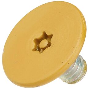 LCN 4510T159SB 4510T-159 696 Sprayed Brass Arm Screw