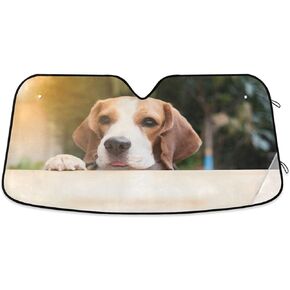 Car Windshield Sun Shade Beagle Dogs are Looking Blocks UV Rays Sun Visor Protector Accordion Folding Auto Sunshade for Car Truck SUV 55x28inch