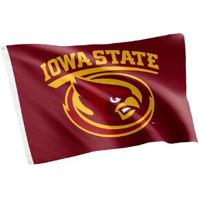 Desert Cactus Iowa State University Flag ISU Cyclones Flag Banners 100% Polyester Indoor Outdoor 3x5 feet Flags (Style Z)