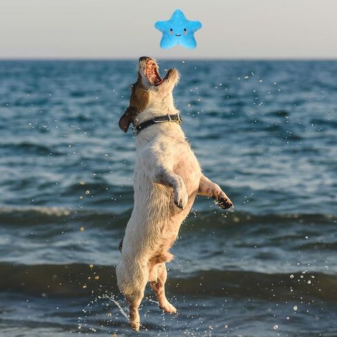 30 Pcs Stuffed Dog Toy Dog Squeaky Plush Chew Toys for Small Medium Dogs for Your Dogs Small Cloud Star Puppy Squeaky Dog Toys Christmas Socks Filler in Saudi Arabia