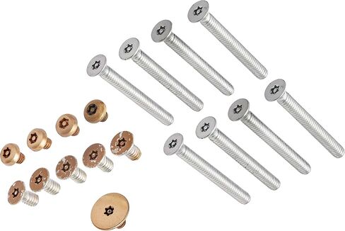 LCN 4510TTORX10 4510T-TORX US10 Satin Bronze Screw Pack in Saudi Arabia