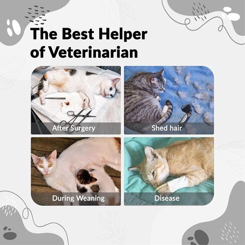 ASENKU Cat Recovery Suit, Cat Surgery Recovery Shirt Female After Surgery for Abdominal Wounds,Cat Onesie Anti Licking Wounds, E-Collar Alternative for Female Cats Kitten in Saudi Arabia