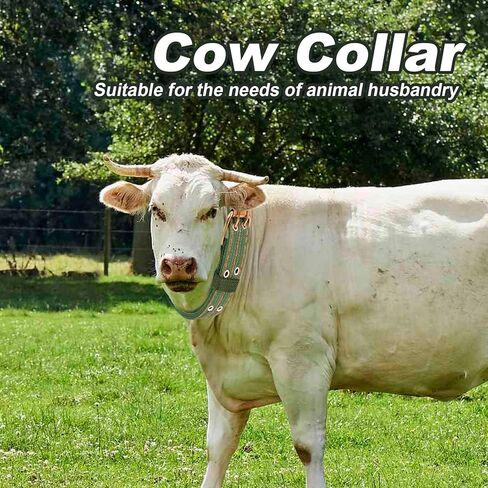 2Pcs Adjustable 59.05inch Cow Collar with 2-Rows Metal Buckle Four-Layer Nylon Thickened Cow Collar Ring Metal Buckle Traction Chain for Cattle, Dog, Horse, Sheep, Camel in Saudi Arabia